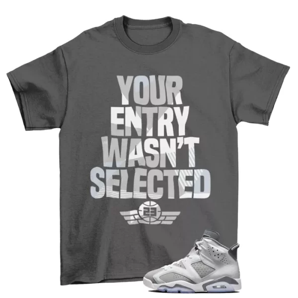 Sneaker Raffle Shirt to Match Jordan 6 Retro Cool Grey / CT8529-100 Jezsport.com