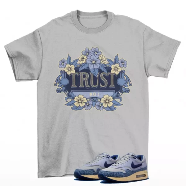 Trust Shirt Grey to Match Air Max 1 '86 OG Lost Sketch DV7525-001 Jezsport.com