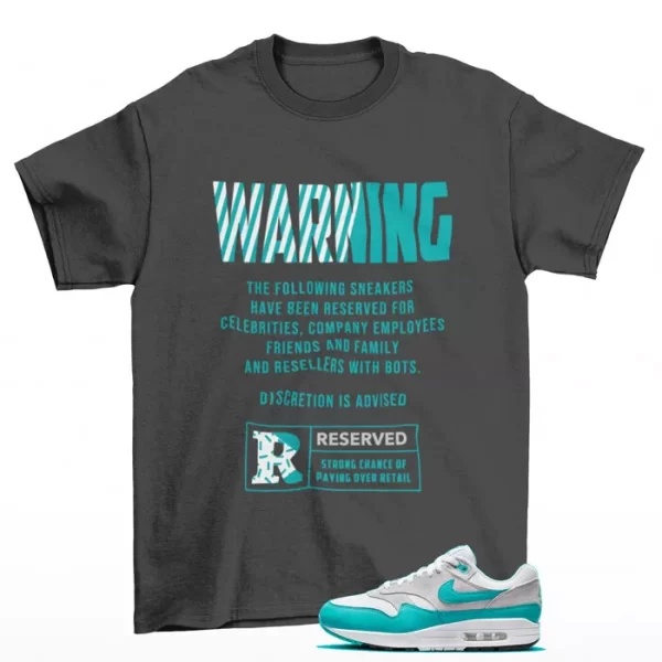 Warning Clear Jade Shirt Grey to Match Air Max 1 SC Clear Jade DZ4549-001 Jezsport.com