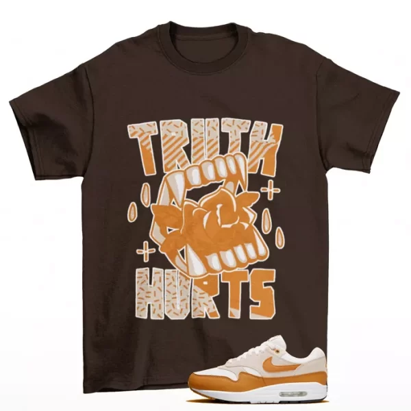 Truth Shirt Brown to Match Air Max 1 Bronze DZ4549-110 Jezsport.com