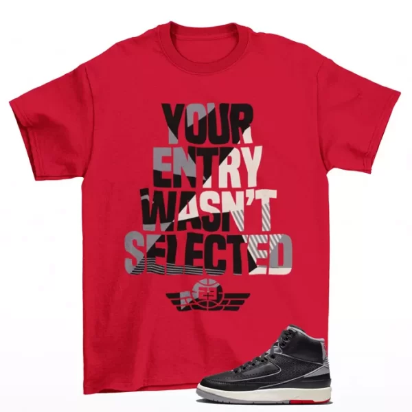 Sneaker Raffle Shirt to Match Jordan 2 Retro Black Cement DR8884-001 Jezsport.com