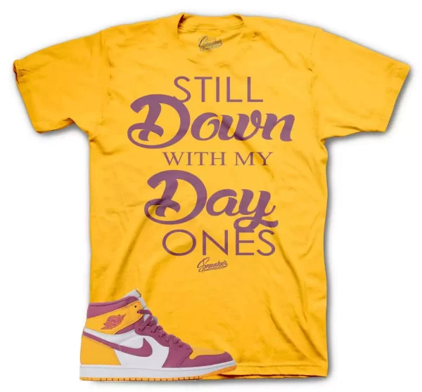 Shirt To Match Jordan 1 Brotherhood 1s Shoes - Day Ones Sneaker Tee Jezsport.com