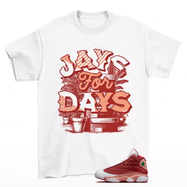 Stacked Sneaker Shirt White to Match Jordan 13 Retro Dune Red DJ5982-601 Jezsport.com