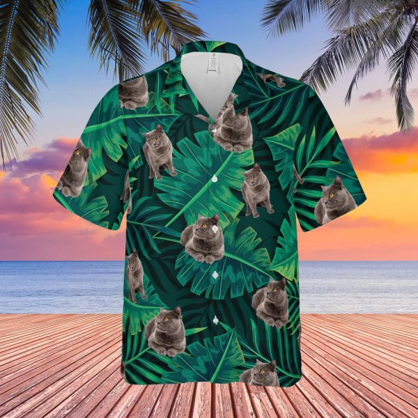 Funny Cat Beach Hawaiian Shirt, Hawaii Shirt, Summer Shirt For Men and Women Jezsport.com