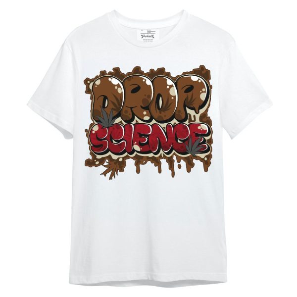 Archaeo Brown 5s Shirt - Drop Science Unisex Shirt Matching Jordan Shirt Jezsport.com