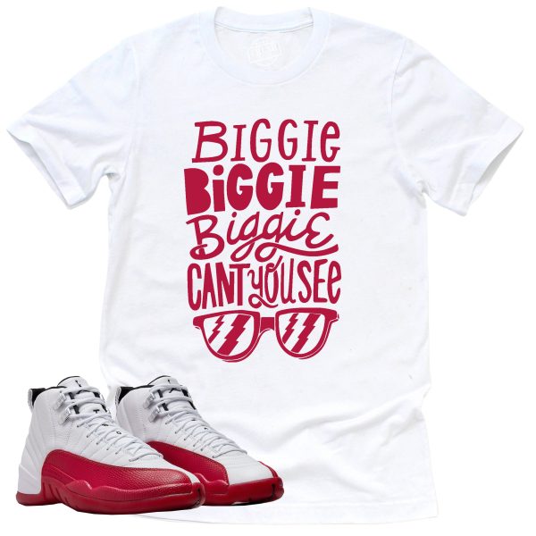 Can't You See Shirt, Retro Air Jordan 12 Cherry Red Sneaker Match Tee Jezsport.com