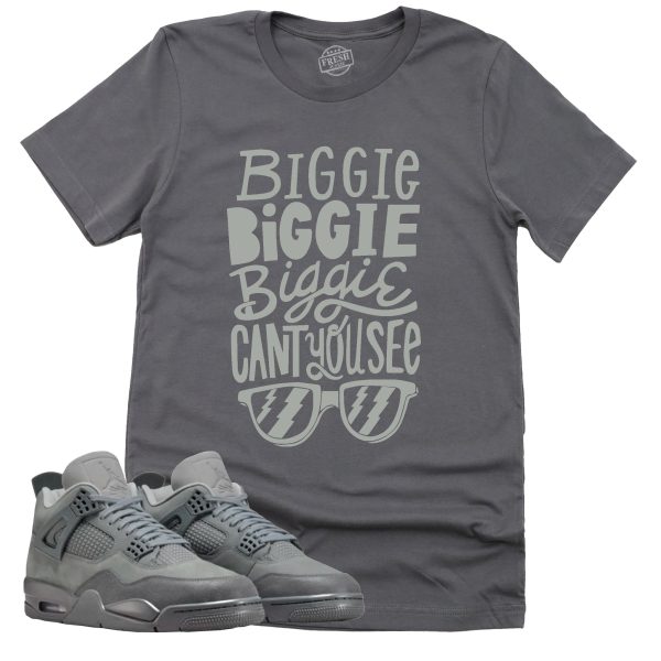 Can't You See Shirt, Retro Air Jordan 4 Wet Cement Sneaker Match Tee Jezsport.com