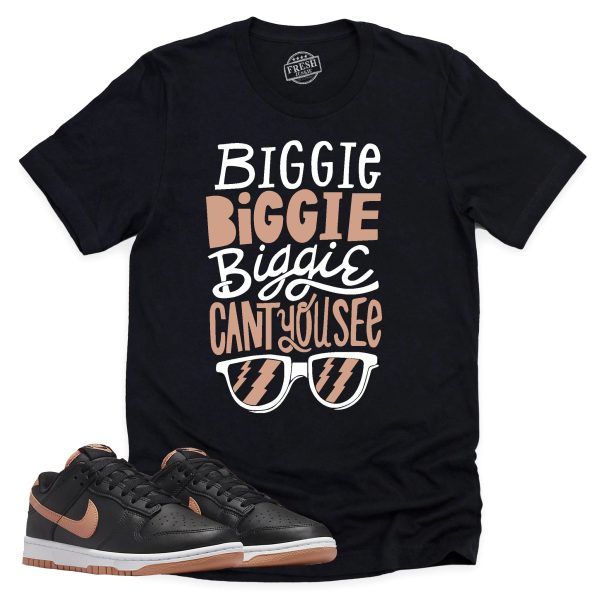 Can't You See Shirt, Retro Dunk Low Amber Brown Sneaker Match Tee Jezsport.com