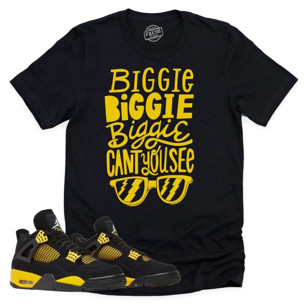 Can't You See Shirt, Retro Air Jordan 4 Thunder Sneaker Match Tee Jezsport.com