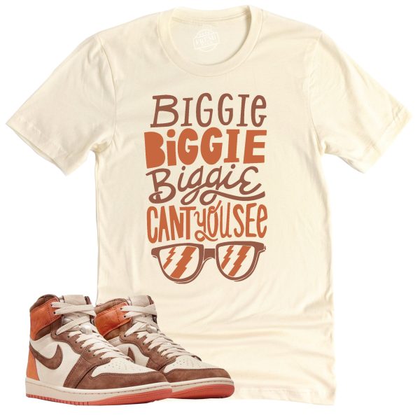 Can't You See Shirt, Air Jordan 1 Cacao Sneaker Match Tee Jezsport.com