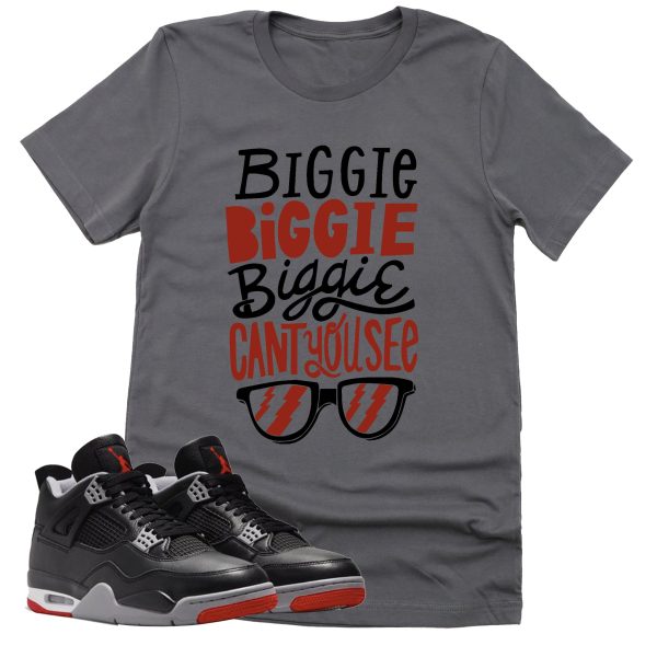 Can't You See Shirt, Retro Air Jordan 4 BRED Reimagined Sneaker Match Tee Jezsport.com