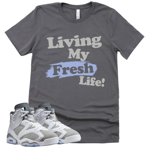 Living My Fresh Life Shirt Retro Air Jordan 6 Cool Grey Sneaker Match Tee Jezsport.com