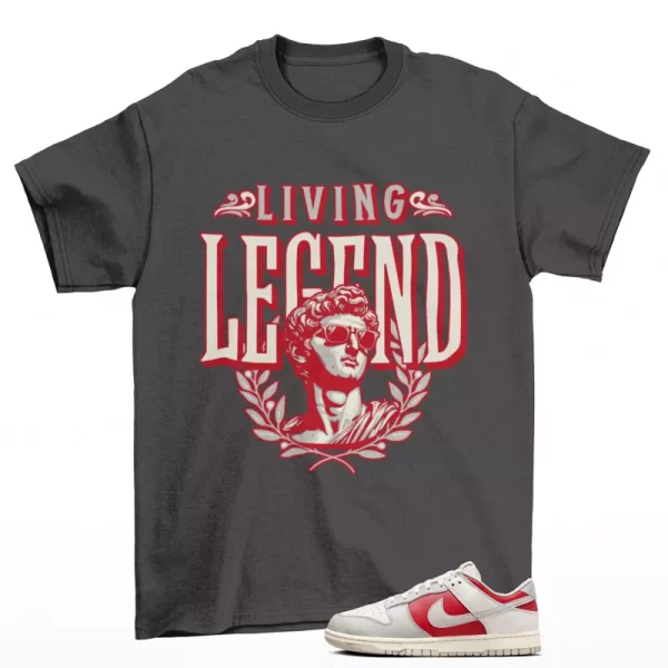 Legend Shirt Grey to Match Dunk Low Light Iron Ore Gym Red HJ9093-030 Jezsport.com