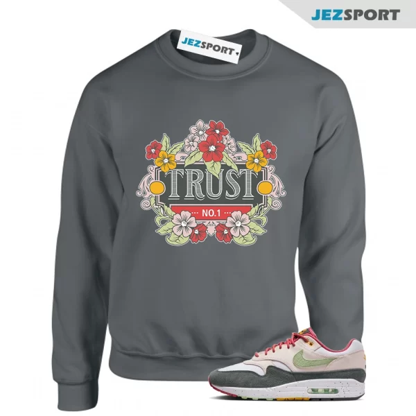 Trust Sweatshirt Grey to Match Air Max 1 Easter Light Soft Pink FZ4133-640, Matching Sneaker Sweatshirt