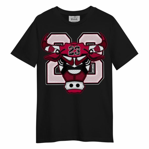 Retro Chicago 2s Shirt, Raging Vintage 90s Unisex Shirt Matching Jordan Shirt Jezsport.com