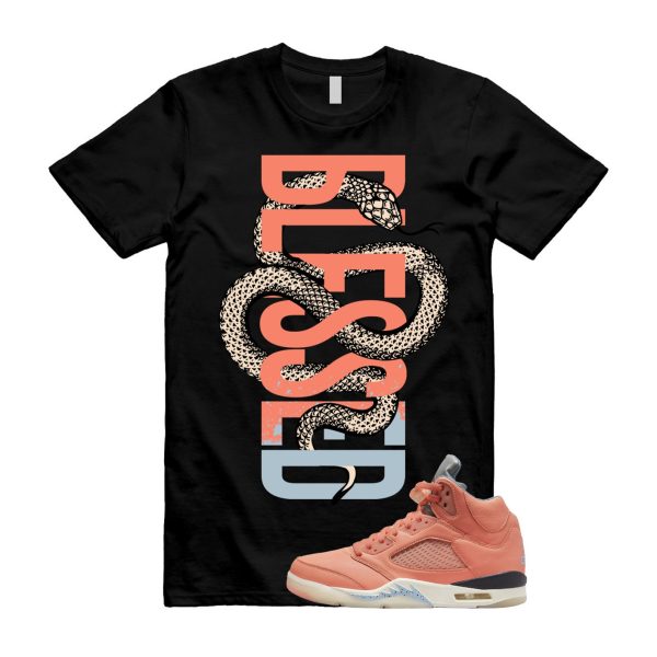 Crimson Bliss 5 DJ Khaled Leche Blue Sail We The Best Retro T Shirt Match SNAKEBLS Jezsport.com