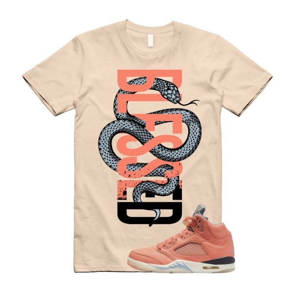 Crimson Bliss 5 DJ Khaled Leche Blue Sail We The Best Retro T Shirt Match SNAKEBLS Jezsport.com