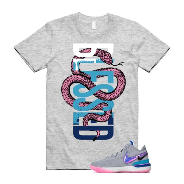 SNAKEBLS T Shirt to match N Zoom LeBron NXXT Gen Wolf Grey Pink Spell Hyper Royal Jezsport.com