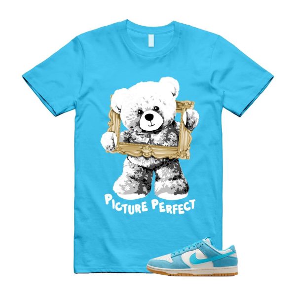 Dunk Baltic Blue Low Phantom Gum Light Brown Coconut Milk T Shirt Match PIC Jezsport.com