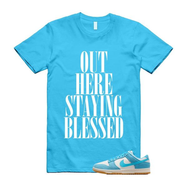 Dunk Baltic Blue Low Phantom Gum Light Brown Coconut Milk T Shirt Match STAYBLS Jezsport.com