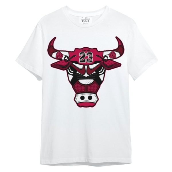 Retro Chicago 2s Shirt, Raging Vintage 90s Unisex Shirt Matching Jordan Shirt Jezsport.com