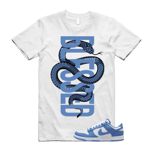 Dunk Polar Blue White Winter Low T Shirt Match SNAKEBLS ,DV0833-400 Jezsport.com