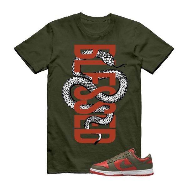 Dunk Mystic Red Cargo Khaki White Low T Shirt Match SNAKEBLS ,DV0833-600 Jezsport.com