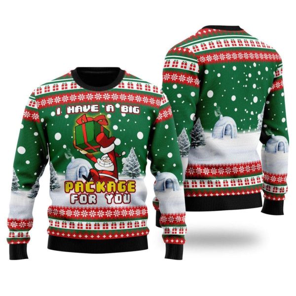 I Have A Big Package For You Ugly Christmas Sweater For Men & Women Christmas Gift Sweater Jezsport.com