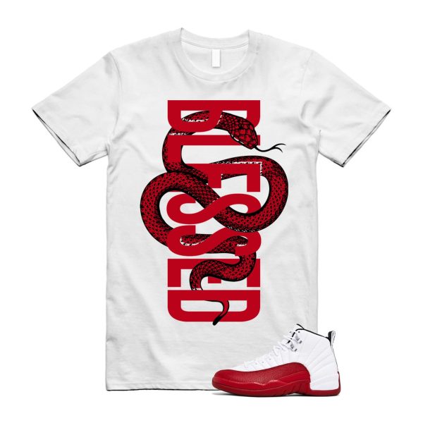 Cherry 12 Varsity Red White T Shirt Match SNAKEBLS ,CT8013-116 Jezsport.com