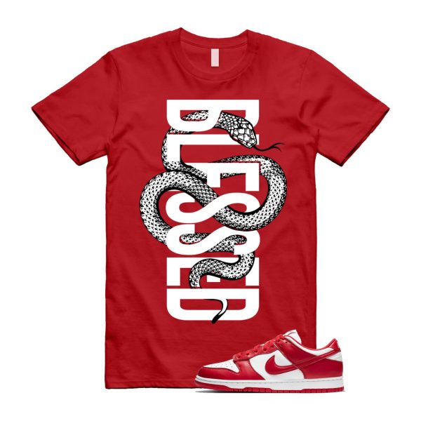 Dunk St. John's University Red White Low SP T Shirt Match SNAKEBLS, CU1727-100 Jezsport.com