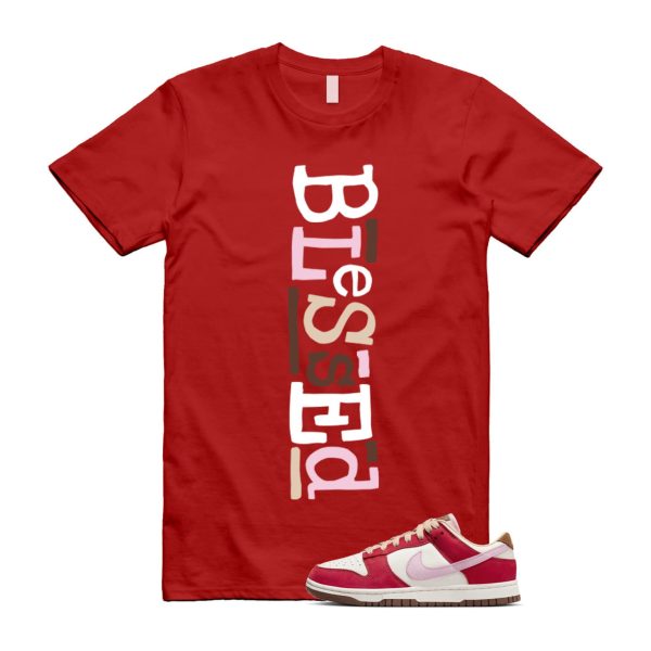 Dunk Bacon Low PRM Sport Red Sheen Sail Medium Brown White T Shirt Match B2 Jezsport.com