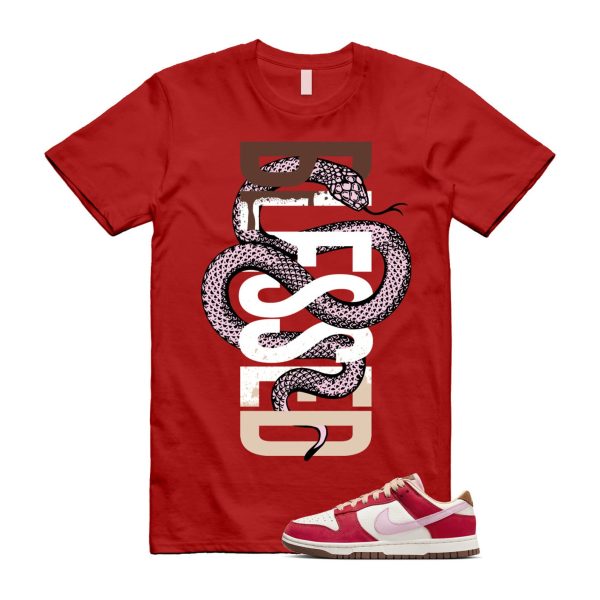 Dunk Bacon Low PRM Sport Red Sheen Sail Medium Brown White T Shirt Match SNAKEBLS ,FB7910-600 Jezsport.com