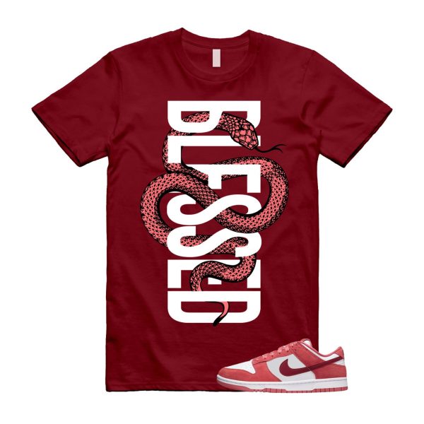 Dunk Valentine's Day Low Team Red Adobe Dragon White T Shirt Match SNAKEBLS ,FQ7056-100 Jezsport.com