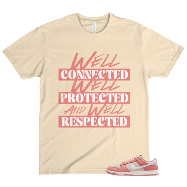 Dunk Red Stardust Summit White Sanddrift Low PRM T Shirt Match WELL ,FB8895-601 Jezsport.com