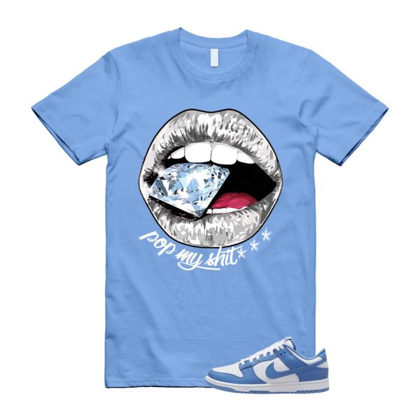 Dunk Polar Blue White Winter Low T Shirt Match POP ,DV0833-400 Jezsport.com