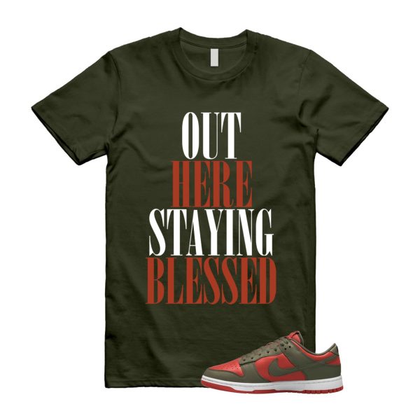 Dunk Mystic Red Cargo Khaki White Low T Shirt Match STAYBLS ,DV0833-600 Jezsport.com