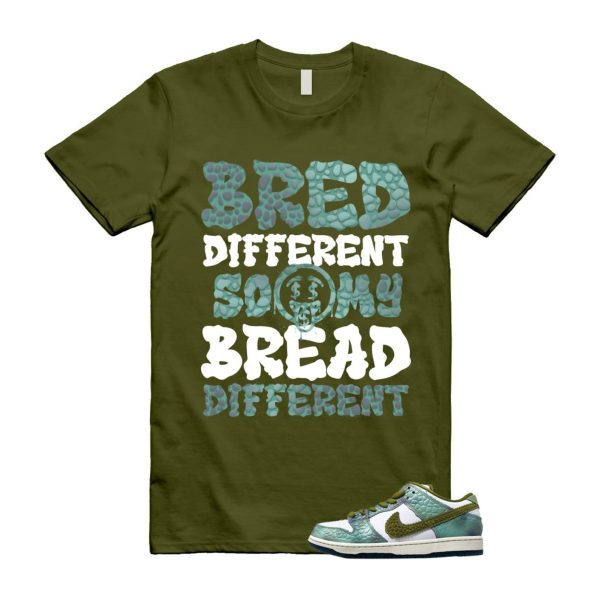 Dunk Chameleon Oil Green Desert Moss White Low SB T Shirt Match BDBD ,HJ3386-300 Jezsport.com