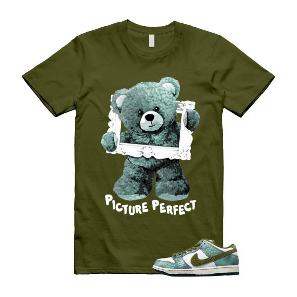 Dunk Chameleon Oil Green Desert Moss White Low SB T Shirt Match PIC ,HJ3386-300 Jezsport.com