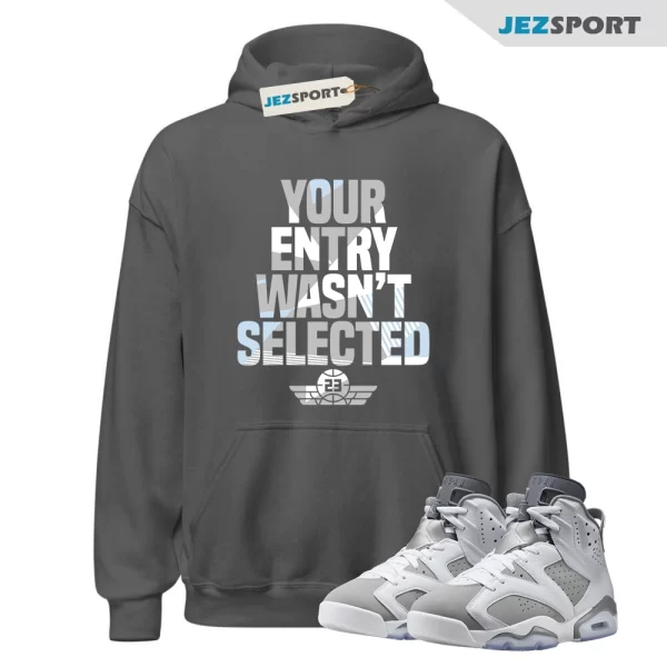 Sneaker Raffle Hoodie to Match Jordan 6 Retro Cool Grey, CT8529-100 Matching Sneaker Hoodie