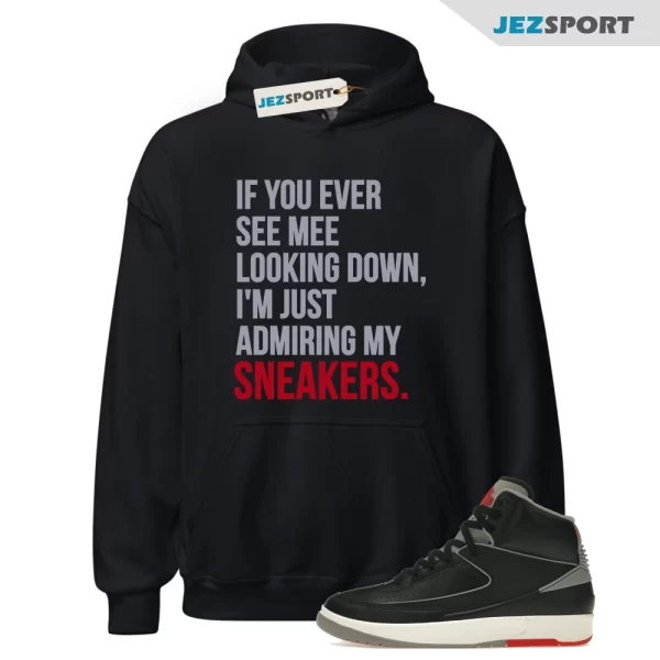 Admiring My Sneakers Hoodie, Retro Air Jordan 2 Black Cement Sneaker Match Hoodie, DR8884-001 Matching Sneaker Hoodie