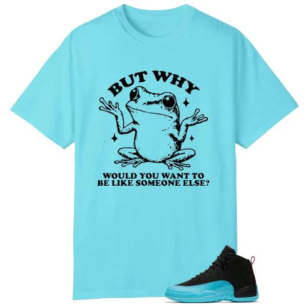 Funny But Why Shirt for AIR JORDAN 12 GAMMA BLUE 130690-027 Jezsport.com