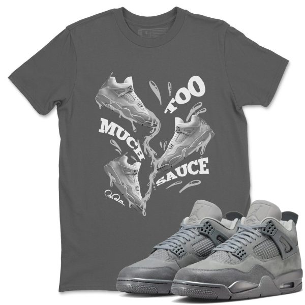 Too Much Sauce Unisex Shirts To Match Jordans Jordan 4s Wet Cement, FQ7928-001 Jezsport.com