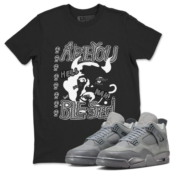 Are You Blessed Unisex Shirts To Match Jordans Jordan 4s Wet Cement, FQ7928-001 Jezsport.com