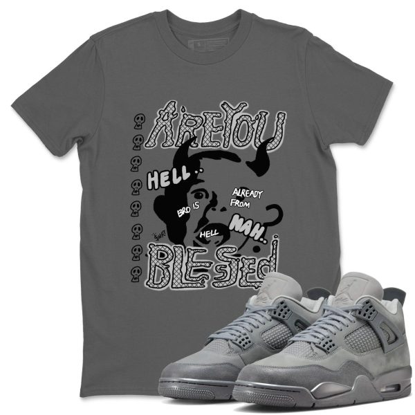 Are You Blessed Unisex Shirts To Match Jordans Jordan 4s Wet Cement, FQ7928-001 Jezsport.com